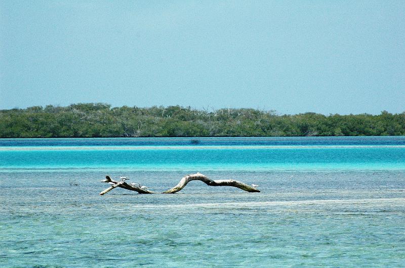 los roques 015.jpg